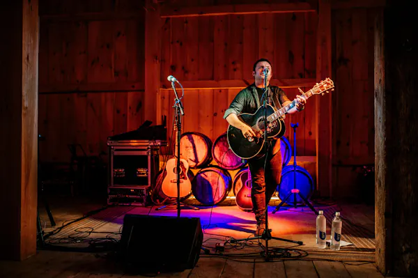 musical instrument, string instrument, audio equipment, chordophone, plucked string instrument, guitar