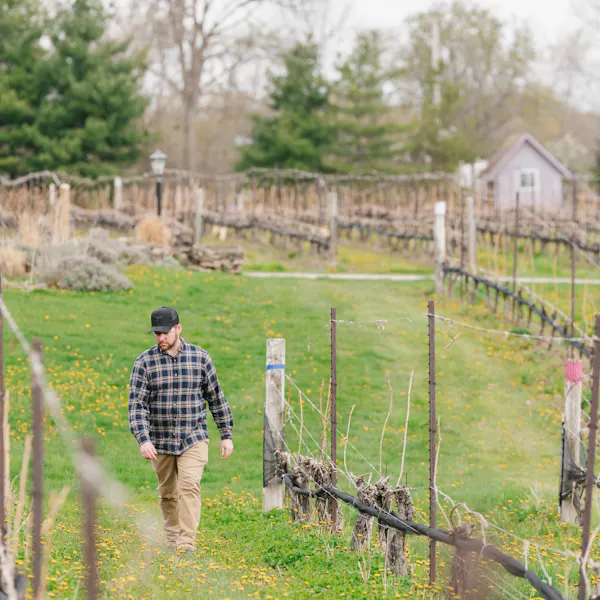 fence, grassland, plaid, people in nature, farm, field