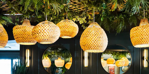 plant, light, botany, yellow, terrestrial plant, natural foods