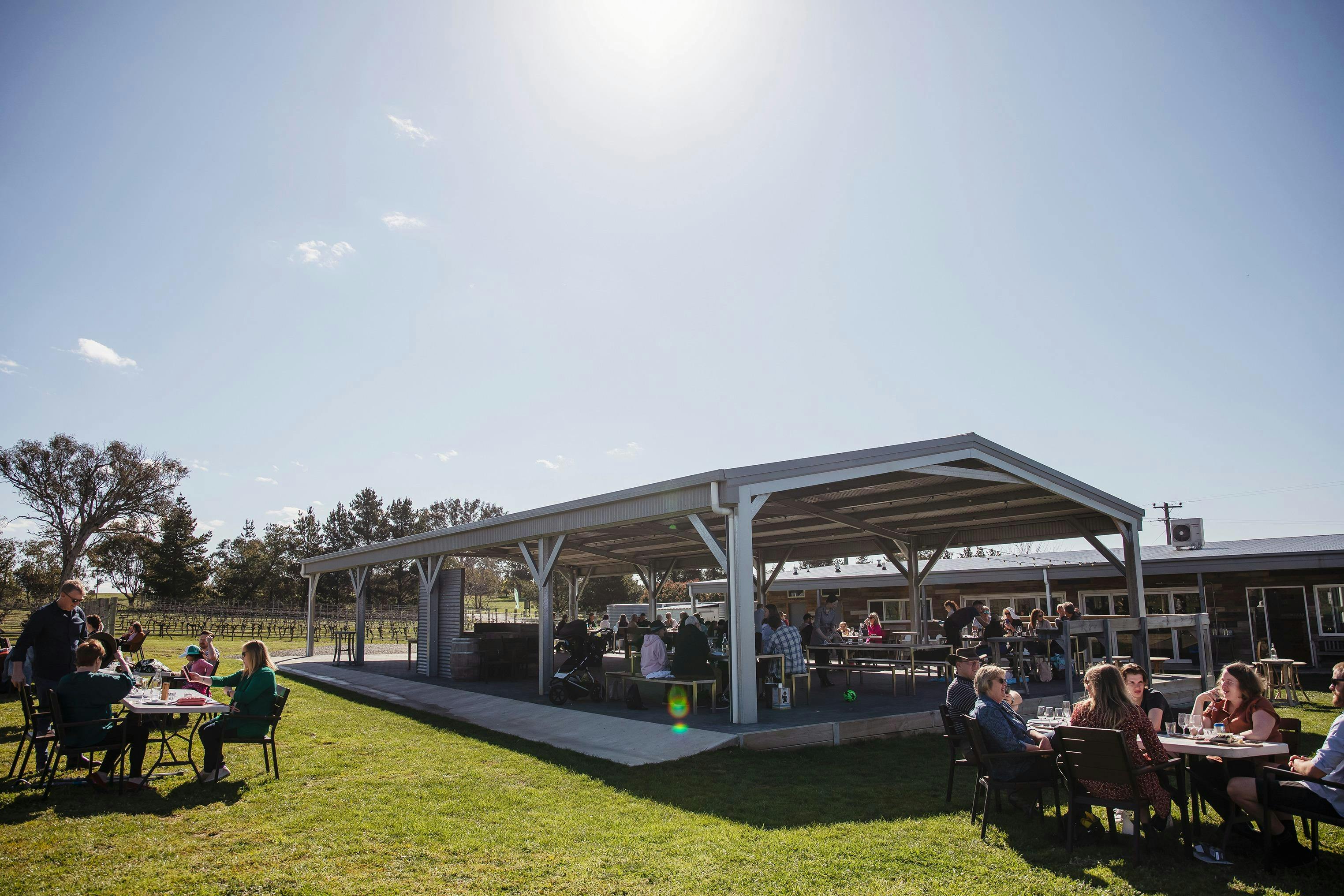 Four Winds Vineyard