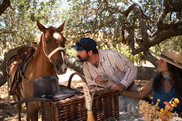 hat, headgear, horse, horse tack, cowboy hat, sun hat