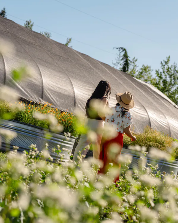 garden, people in nature, leisure, spring, plantation, greenhouse