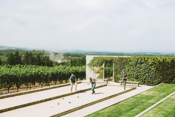 garden, plantation, leisure, hedge, agriculture