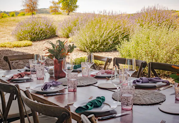 furniture, chair, outdoor table, outdoor furniture, tablecloth, garden