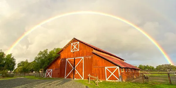 rainbow, rural area, barn, shed, horse, farm