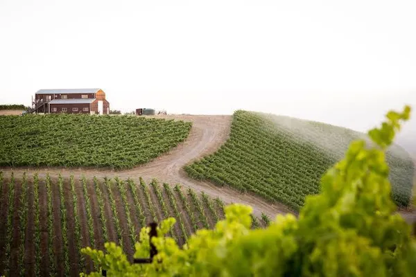 agriculture, field, plantation, rural area, farm, crop