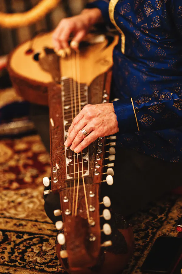 musical instrument, string instrument, plucked string instrument, chordophone, folk instrument, musician