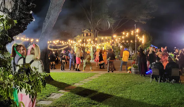 night, event, recreation, public space, fun, leisure