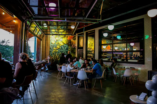 furniture, chair, table, lighting, houseplant, plant