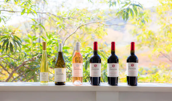 red, alcohol, wine, alcoholic drink, bottle, wine bottle
