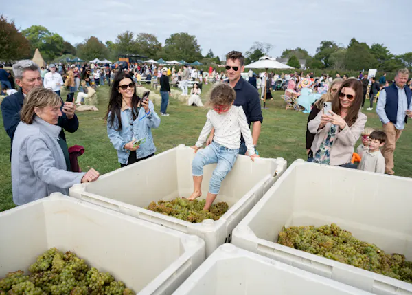 recreation, crowd, leisure, food, sunglasses