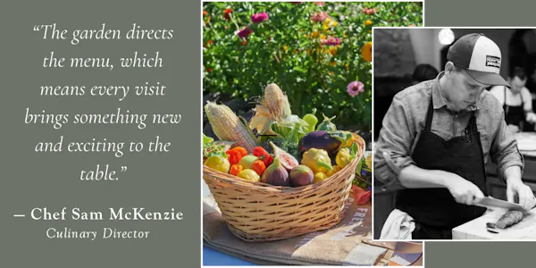 food, produce, ingredient, natural foods, vegetable, basket