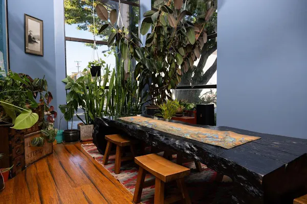 wood, furniture, floor, flowerpot, flooring, wood flooring
