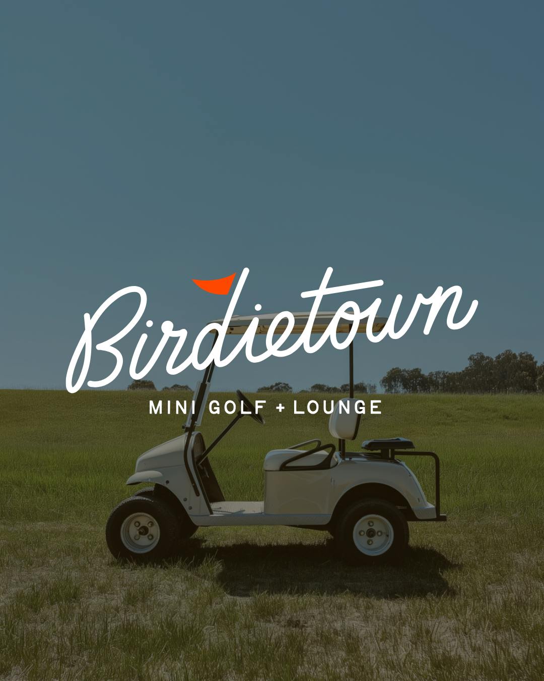 Birdietown