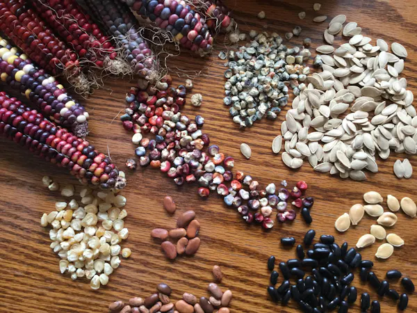 food, produce, ingredient, natural foods, bean, nuts & seeds