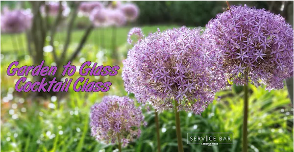 garden, purple, herbaceous plant, botanical garden, onions, perennial plant