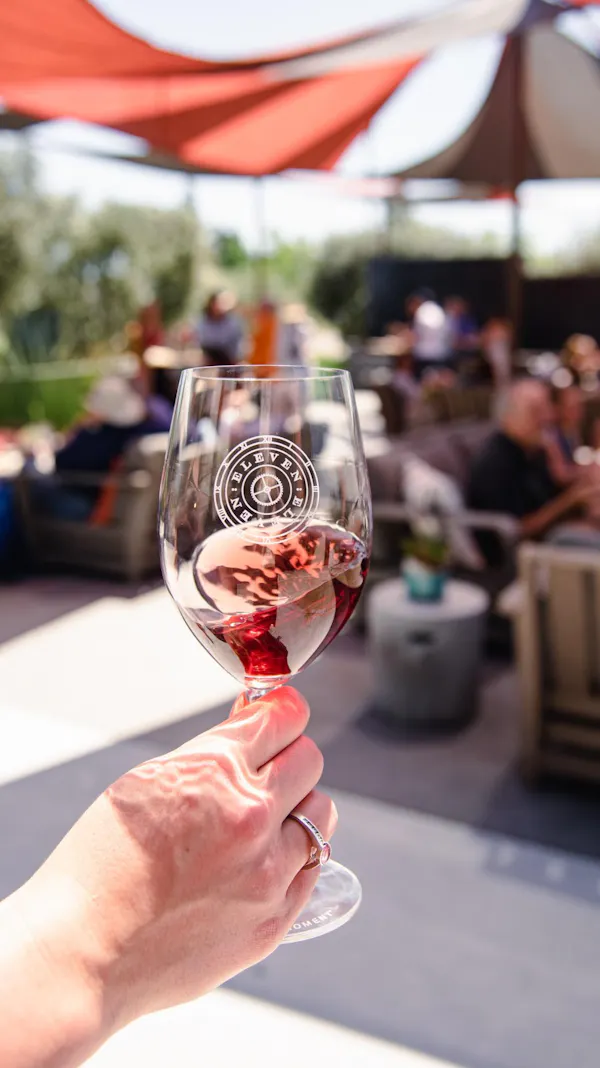 tableware, drinkware, stemware, barware, wine glass, drink