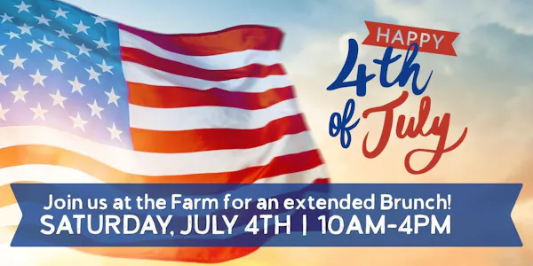 event, hat, flag of the united states, sun hat, flag, fedora