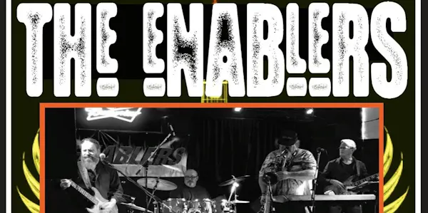 musical ensemble, musical instrument, chordophone, plucked string instrument