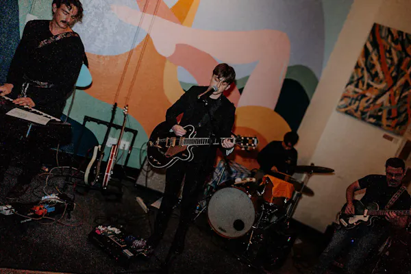 musical instrument, audio equipment, chordophone, drum, string instrument, guitar