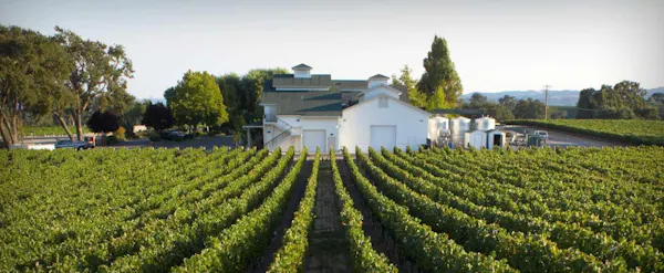 agriculture, plantation, crop, estate, vineyard, farm