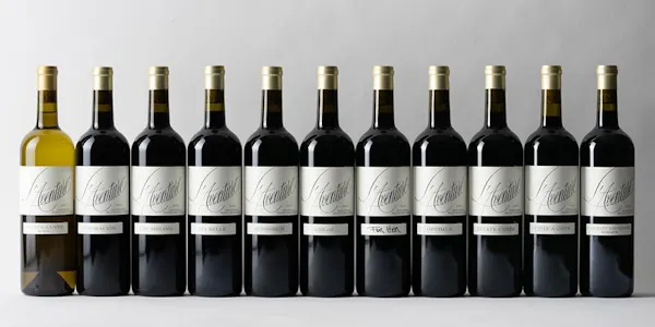 bottle, alcoholic drink, glass bottle, alcohol, wine bottle, liquor