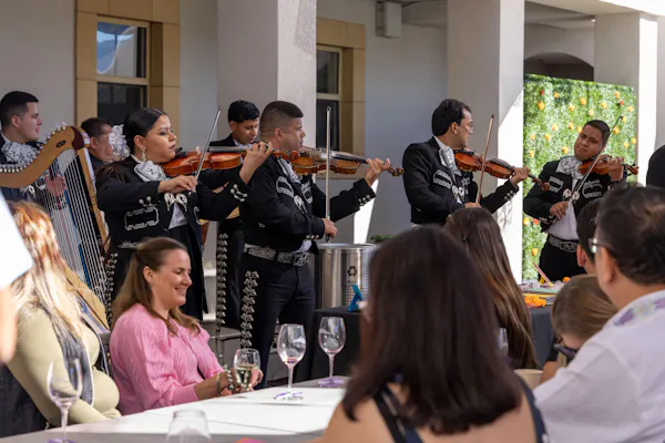 musical instrument, string instrument, chordophone, musical ensemble, music, performing arts