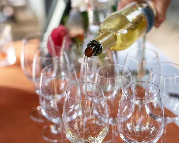 stemware, drinkware, tableware, alcoholic drink, barware, glass