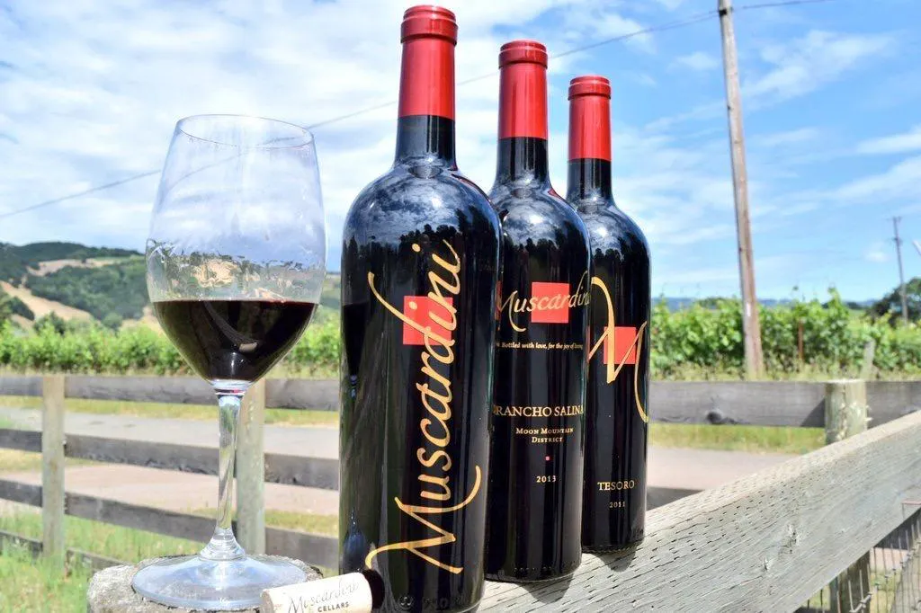 Muscardini Cellars - Classico Tasting Experience - Kenwood, CA | Tock