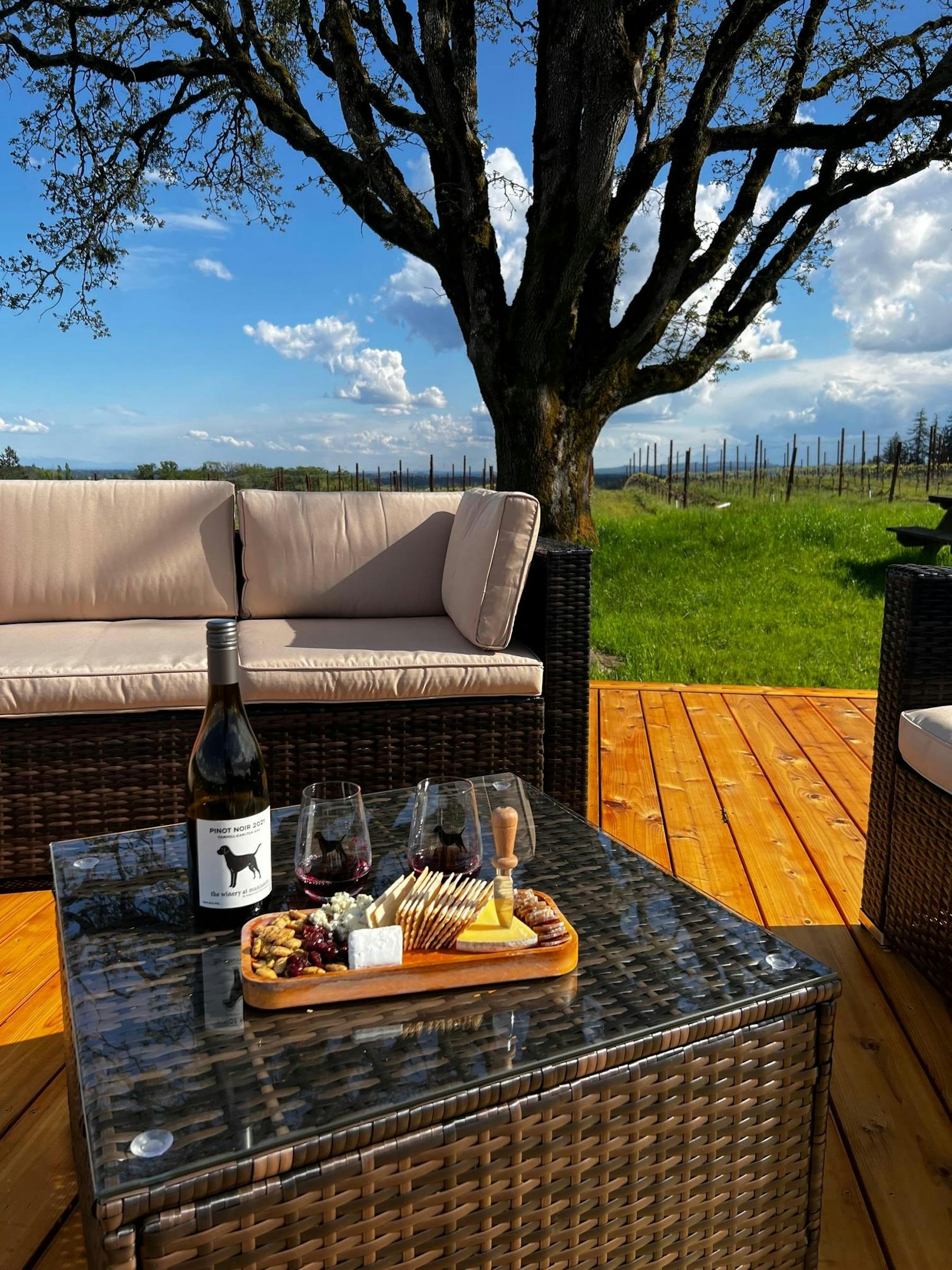 Black Dog Vineyard Carlton, OR Tock