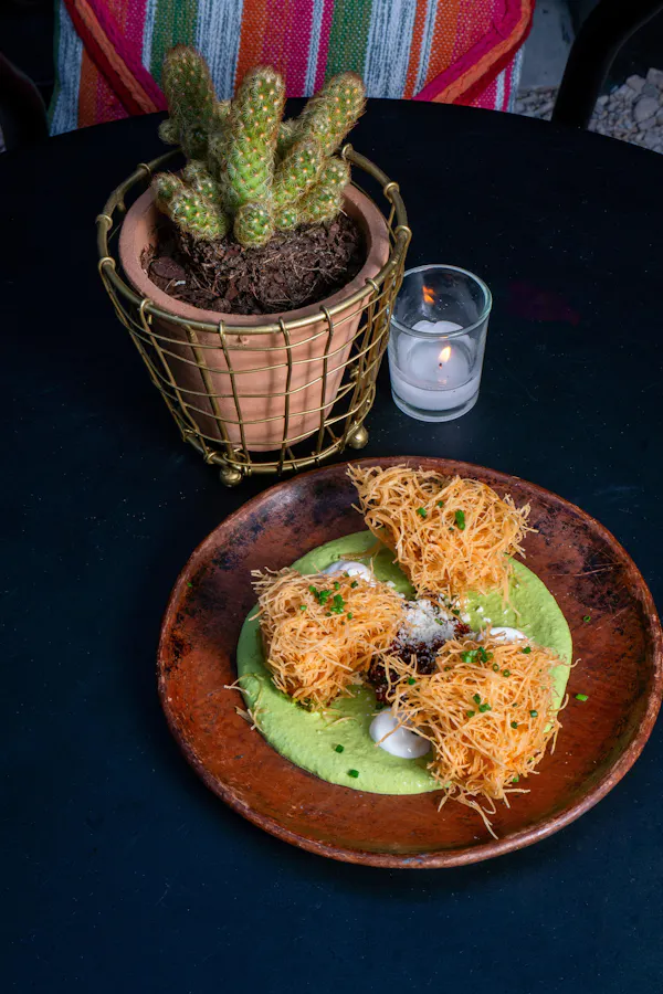 food, tableware, flowerpot, plant, houseplant, blue