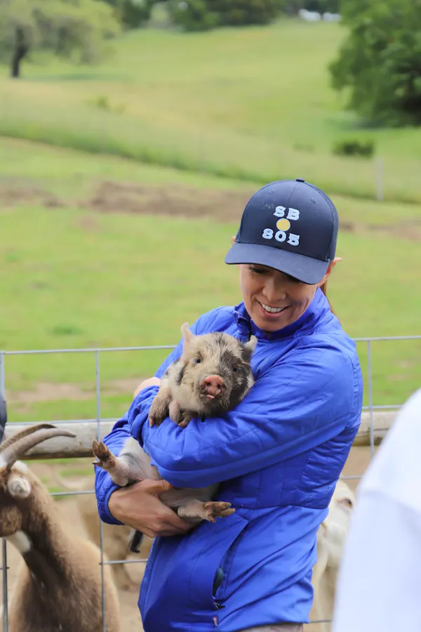 smile, dog, carnivore, grass, fawn, baseball cap