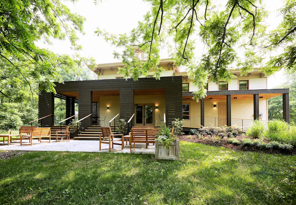 plant, property, building, tree, wood, shade