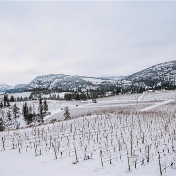 winter, snow, hill, freezing, mountain range, hill station