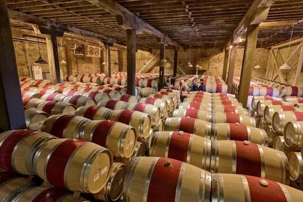 barrel, winery, wine cellar