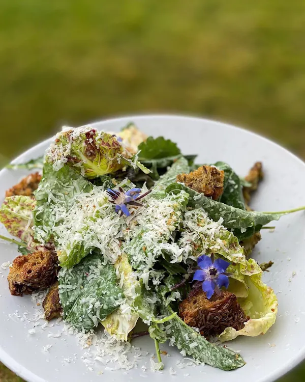 food, leaf vegetable, ingredient, salad, vegetable, produce