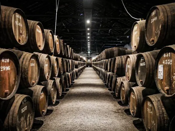 winery, barrel, wine cellar, inventory, warehouse, brewery