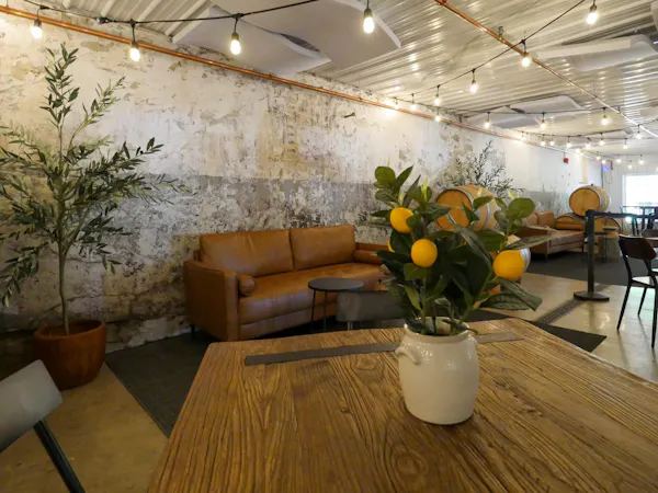 plant, furniture, table, flowerpot, building, chair