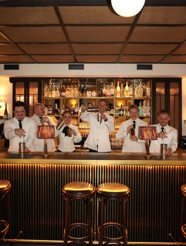 bar, alcoholic drink, bartender, pub, barware, restaurant