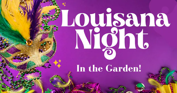event, night, festival