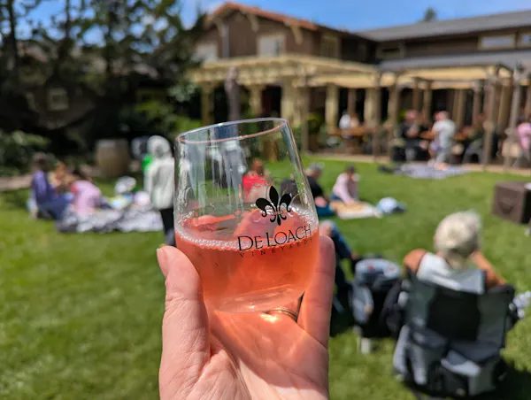 alcoholic drink, liquor, tableware, drinkware, barware, alcohol