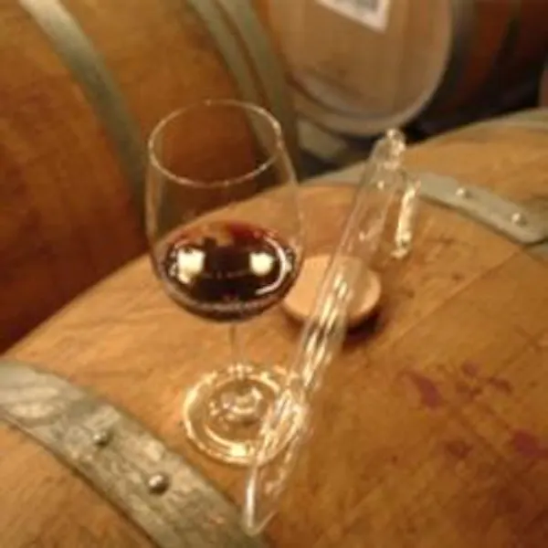 stemware, alcoholic drink, tableware, barware, drinkware, wine glass