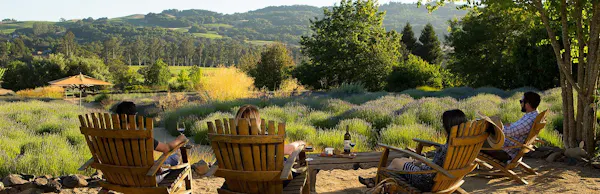 property, natural landscape, garden, grass, landscape, tree