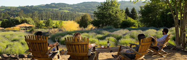 property, natural landscape, garden, grass, landscape, tree
