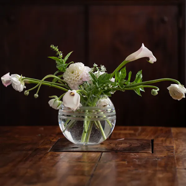flower, plant, vase, petal, creative arts, flowerpot