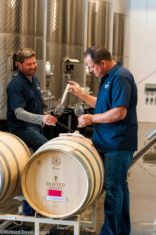 barrel, winery, brewery, wine cellar