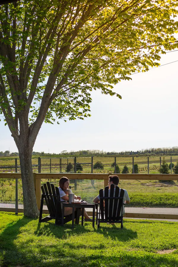 landscape, outdoor furniture, grassland, plain, land lot, spring