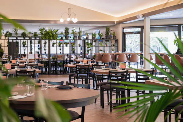 furniture, restaurant, chair, ceiling, shade, kitchen & dining room table
