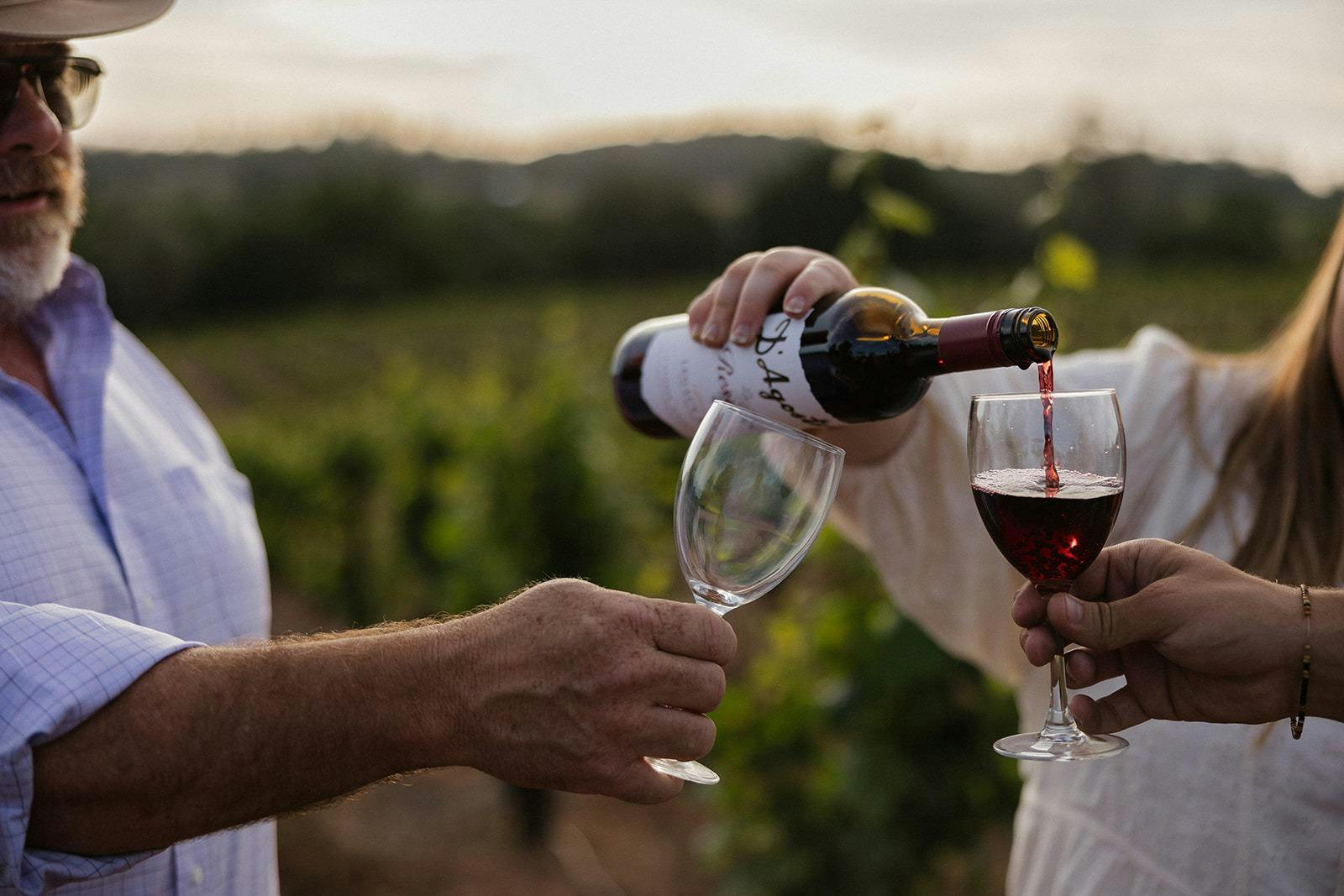 D'Agostini Wines