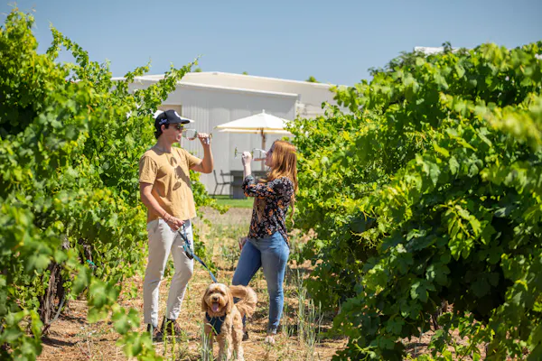 agriculture, people in nature, spring, plantation, leisure, vineyard